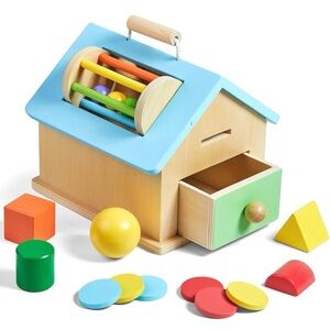 Colorful Wooden Shape Sorter Toy